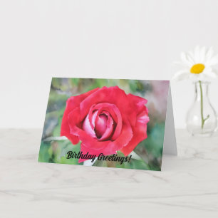 Red and Pink Rose Art Birthday Card
