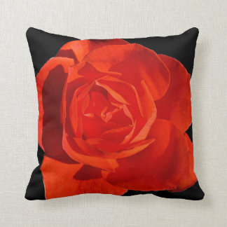 Red and Pink Rose Pillow - Black Background