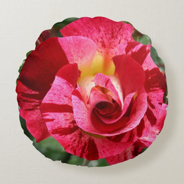 Red and Pink Rose Round Pillow (Front)