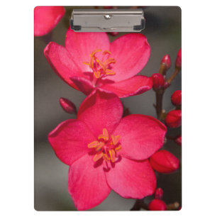 Red and Pink Tropical Fiji Flowers Clipboard