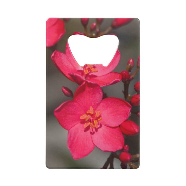Red and Pink Tropical Fiji Flowers Credit Card Bottle Opener (Front)