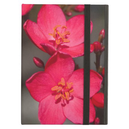 Red And Pink Tropical Fiji Flowers Ipad Air Cover