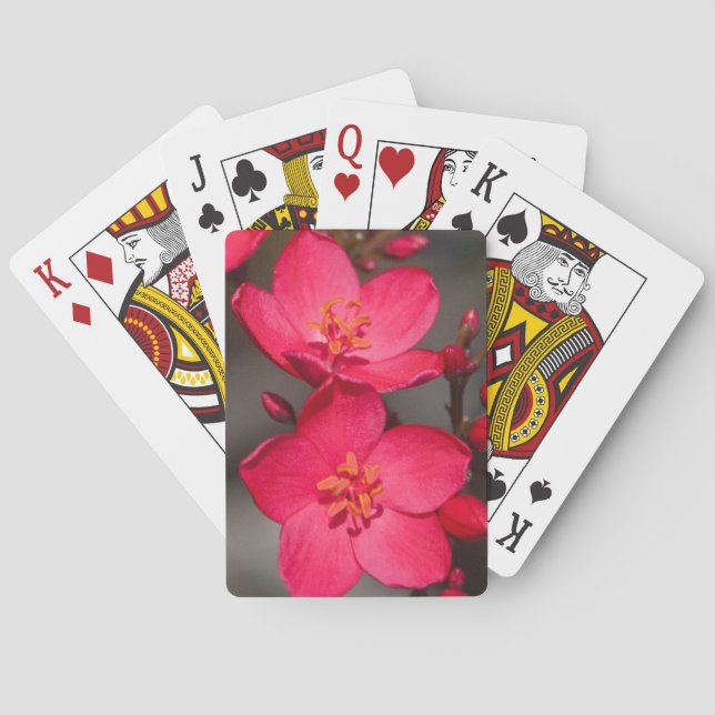 Red and Pink Tropical Fiji Flowers Poker Cards (Back)