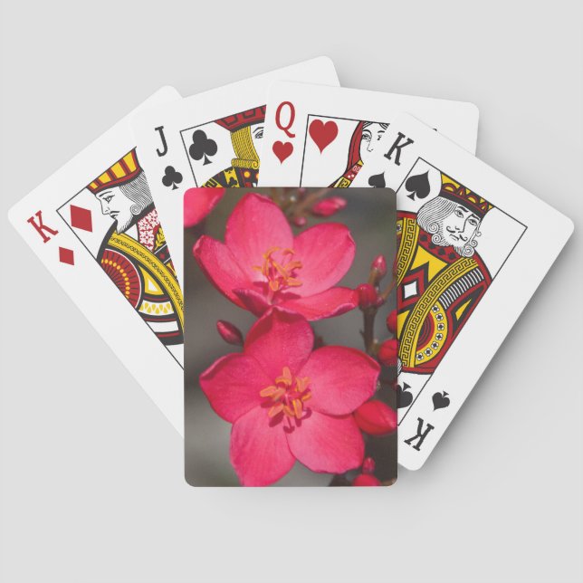 Red and Pink Tropical Fiji Flowers Poker Cards (Back)