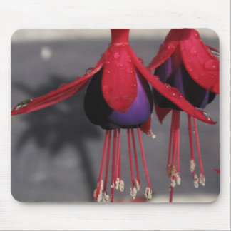 Red and purple Flower with raindrops Mouse Pad