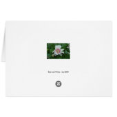 Red and White (Back Horizontal)