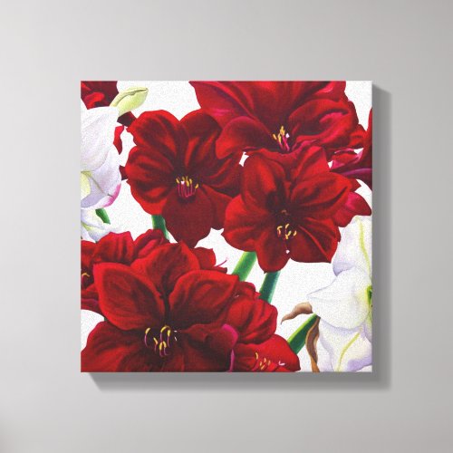 Red and White Amaryllis 2008 Canvas Print