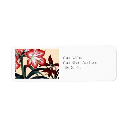 Red and White Amaryllis Flowers Return Address Label