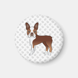 Red And White Boston Terrier Cartoon Dog & Paws Magnet