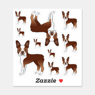 Red And White Boston Terrier Dog Illustrations Sticker