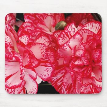 Red And White Carnation-computer Mousepad by SerenityGardens at Zazzle