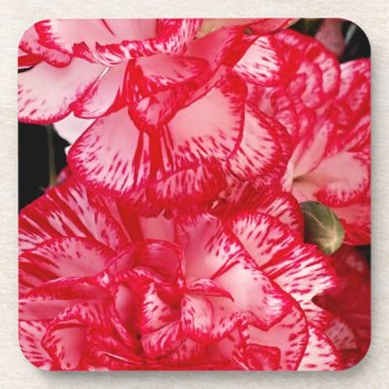 Red And White Carnations-cork Coaster Set by SerenityGardens at Zazzle