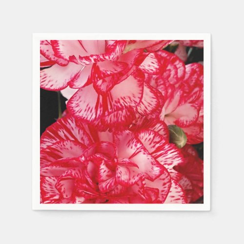 Red and White Carnations_PAPER NAPKINS