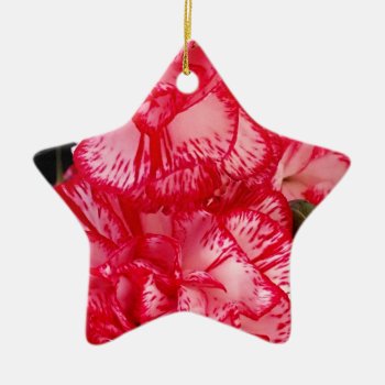 Red And White Carnations-star Ornament by SerenityGardens at Zazzle