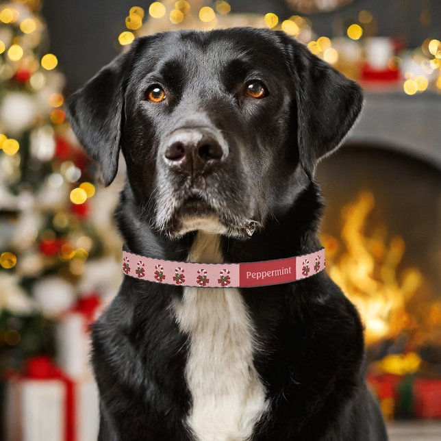 Red And White Christmas Candy Canes With Name Pet Collar (Please note: This image is a digital mockup. The product may not be in scale.)