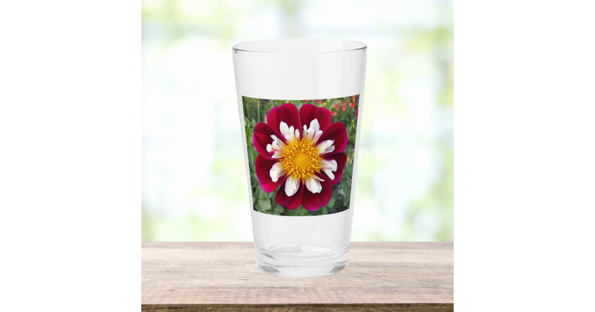 https://rlv.zcache.com/red_and_white_collarette_dahlia_floral_drinking_glass-r_f5o0vs_630.jpg?view_padding=%5B285%2C0%2C285%2C0%5D