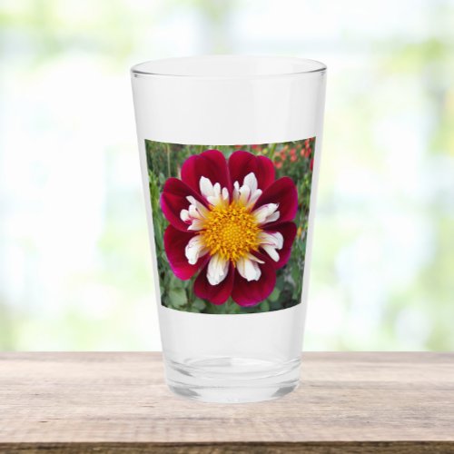 Red and White Collarette Dahlia Floral Drinking Glass