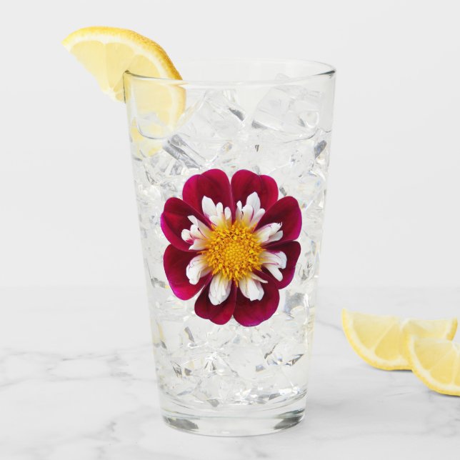 Red and White Collarette Dahlia Floral Drinking Glass (Front Ice)