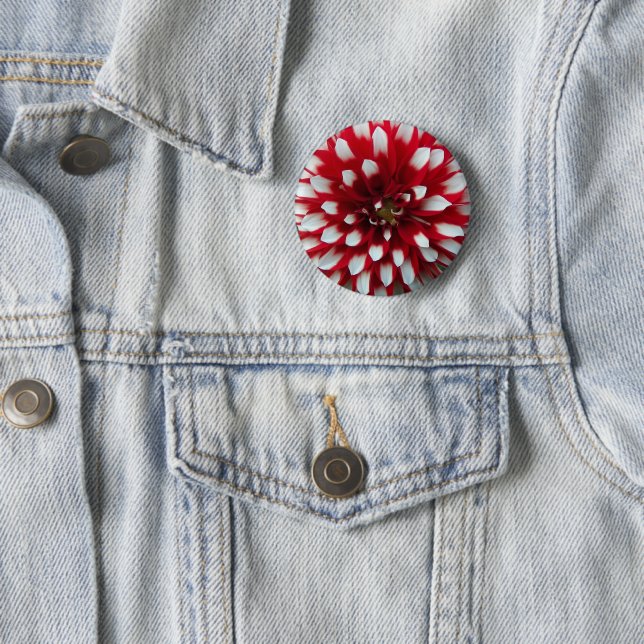 Red and White Dahlia Flower Pinback Button (In Situ)