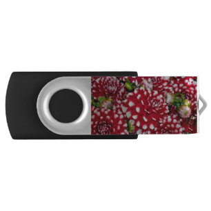 Red and white dahlias flash drive