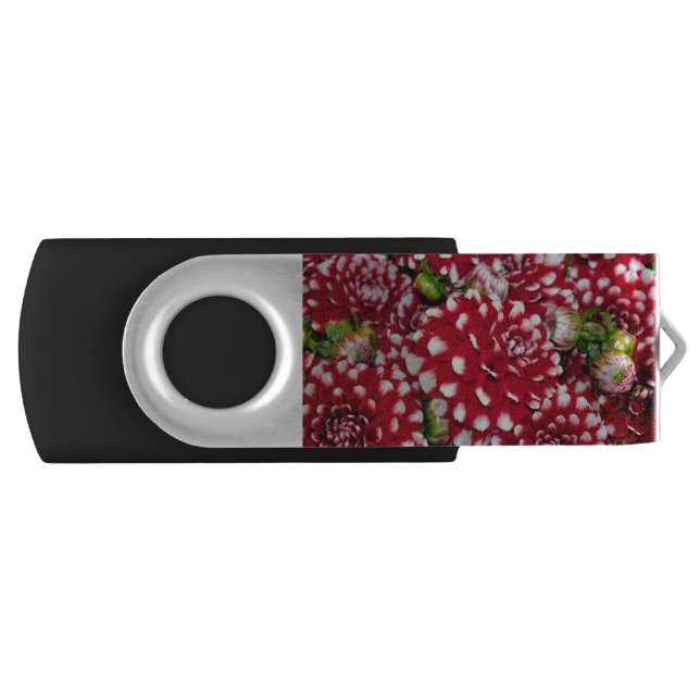 Red and white dahlias flash drive (Front)