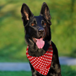 Red And White Dog Paws Pattern And Custom Pet Name Bandana Collar