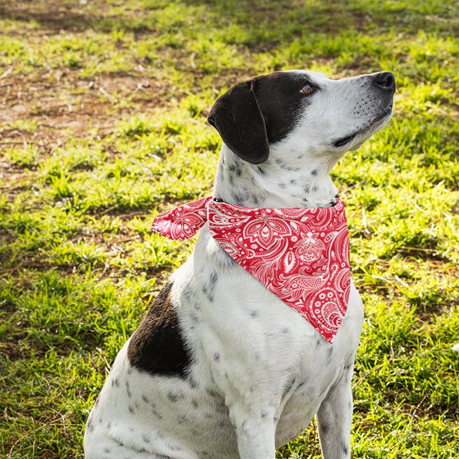 Red and white floral paisley pattern bandana (Creator Uploaded)