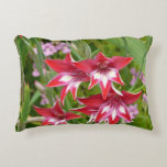 Red and White Gladiolas Summer Botanical Accent Pillow
