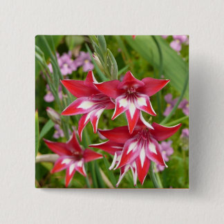 Red and White Gladiolas Summer Botanical Button