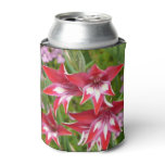 Red and White Gladiolas Summer Botanical Can Cooler