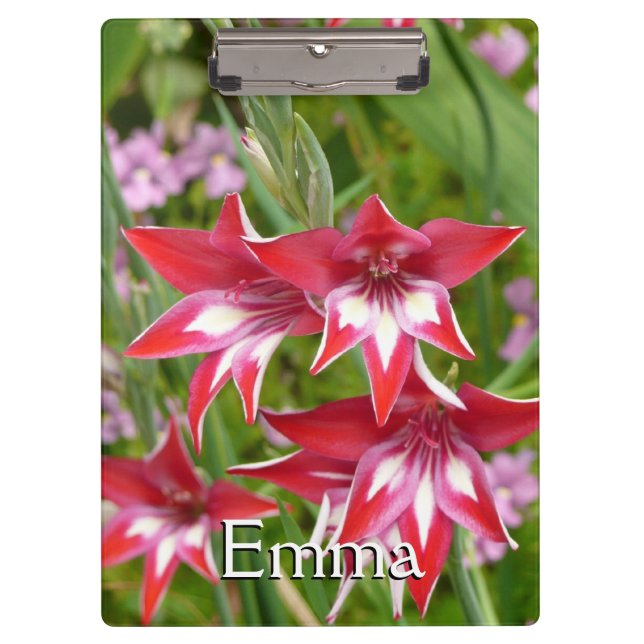 Red and White Gladiolas Summer Botanical Clipboard (Front)