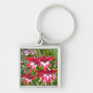 Red and White Gladiolas Summer Botanical Keychain