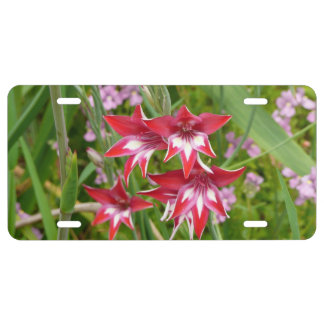 Red and White Gladiolas Summer Botanical License Plate
