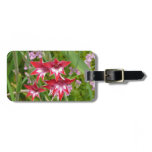 Red and White Gladiolas Summer Botanical Luggage Tag