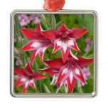 Red and White Gladiolas Summer Botanical Metal Ornament
