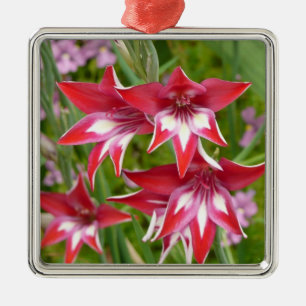 Red and White Gladiolas Summer Botanical Metal Ornament