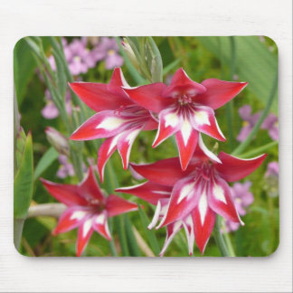 Red and White Gladiolas Summer Botanical Mouse Pad
