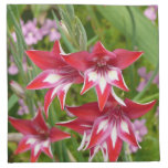 Red and White Gladiolas Summer Botanical Napkin