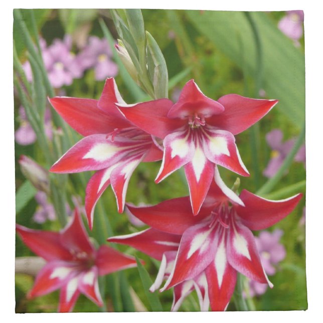 Red and White Gladiolas Summer Botanical Napkin (Front)