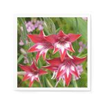 Red and White Gladiolas Summer Botanical Napkins