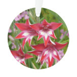 Red and White Gladiolas Summer Botanical Ornament