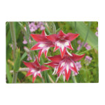 Red and White Gladiolas Summer Botanical Placemat