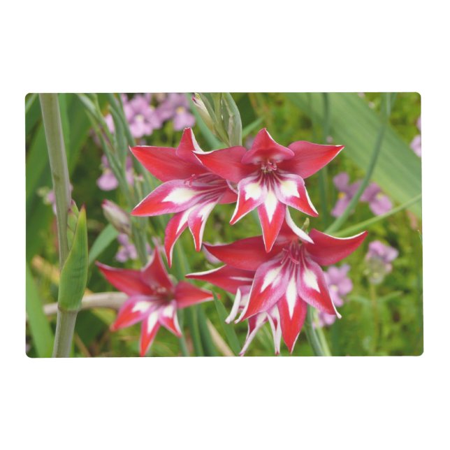 Red and White Gladiolas Summer Botanical Placemat (Front)