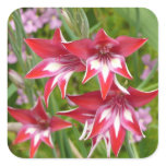 Red and White Gladiolas Summer Botanical Square Sticker