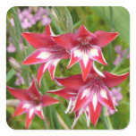 Red and White Gladiolas Summer Botanical Square Sticker