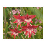 Red and White Gladiolas Summer Botanical Wood Wall Art