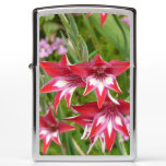 Red and White Gladiolas Summer Botanical Zippo Lighter