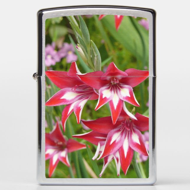 Red and White Gladiolas Summer Botanical Zippo Lighter (Front)