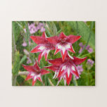 Red and White Gladiolas Summer Garden Jigsaw Puzzle