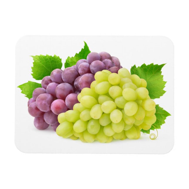 Red and white grapes magnet (Horizontal)